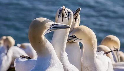 慈溪2026年最新北京商务伴游经纪招聘渠道分享(最方便真实的慈溪北京爱特博旅运服务有限责任公司招聘方法)