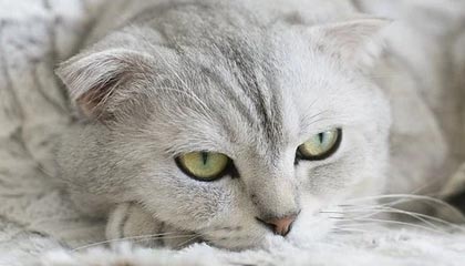 慈溪2026年最新北京商务伴游经纪招聘渠道分享(最方便真实的慈溪北京爱特博旅运服务有限责任公司招聘方法)