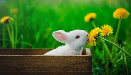 慈溪2026年最新北京商务伴游经纪招聘渠道分享(最方便真实的慈溪北京爱特博旅运服务有限责任公司招聘方法)